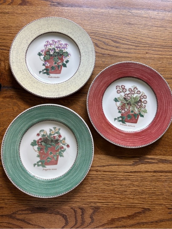 Wedgwood Other - Wedgwood (3) Sarah’s Garden- 1997 Floral Accent salad Plates - Made in England